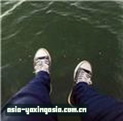 周涛